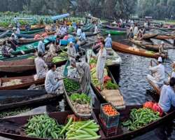 Dal Lake is popularly known for its floating vegetable market which opens at 4 o'clock in the morning and only lasts for 4-5 hours. The most amazing m